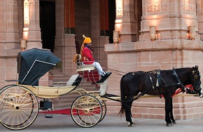 Horse  cart safari